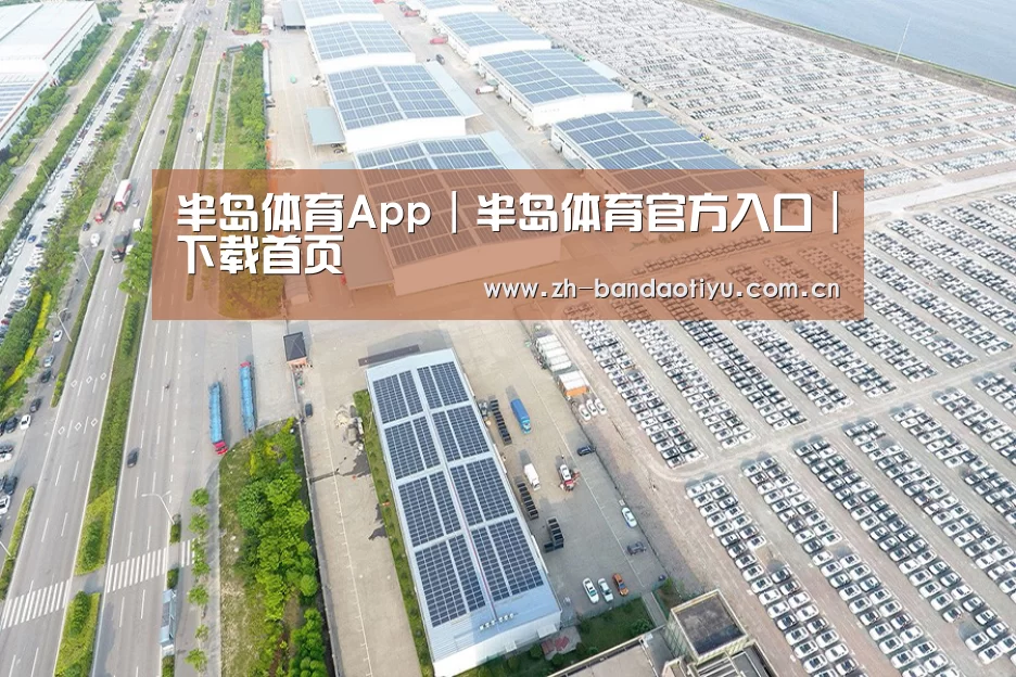 案例展示一