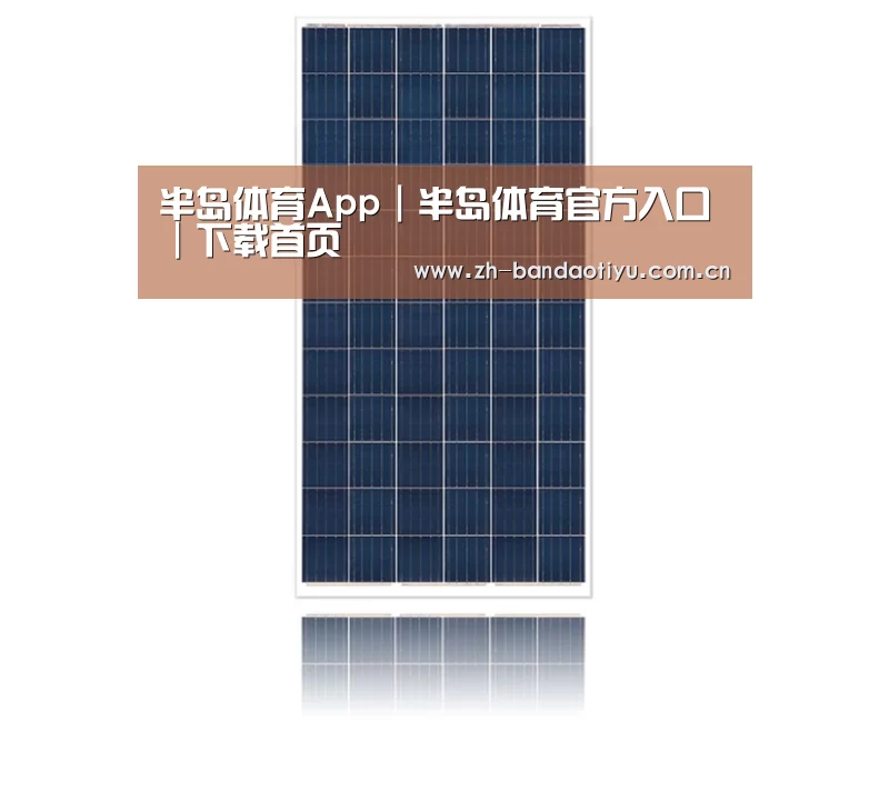 产品名称一