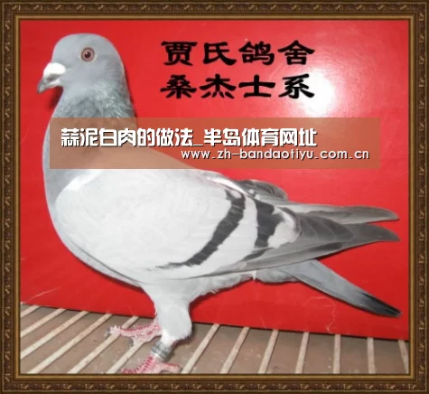 蒜泥白肉的做法_半岛体育网址(图2) 半岛体育官网