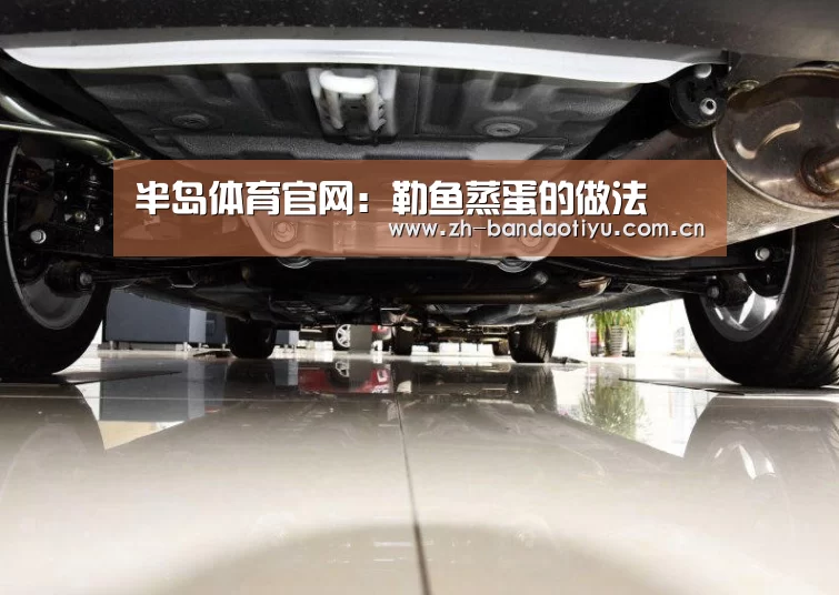 半岛体育