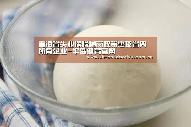 青海省失业保险稳岗政策惠及省内所有企业-半岛体育官网(图2)