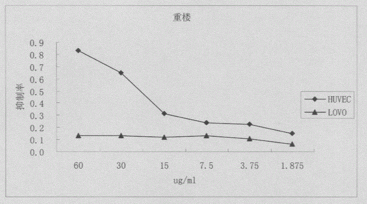 半岛体育网址